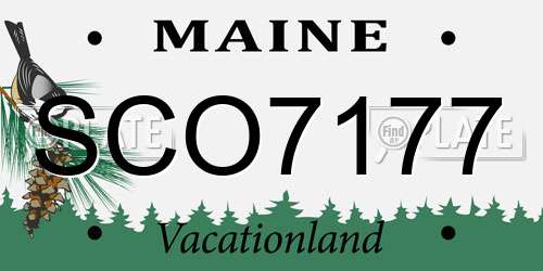 SCO7177 Maine License Plate