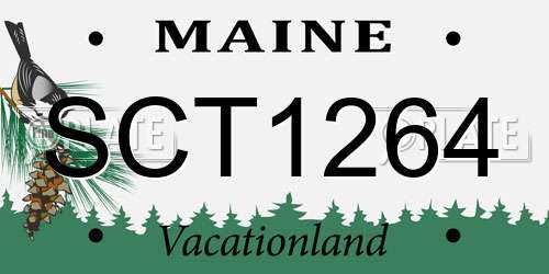 SCT1264 Maine License Plate