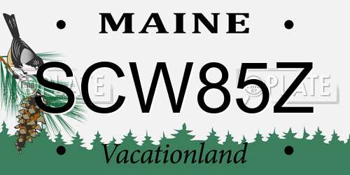 SCW85Z Maine License Plate
