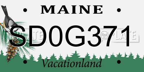SD0G371 Maine License Plate
