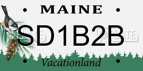SD1B2B Maine License Plate