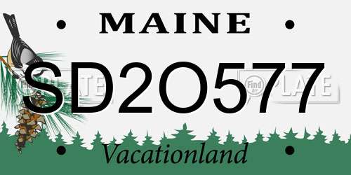 SD2O577 Maine License Plate