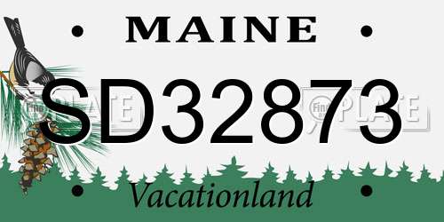 SD32873 Maine License Plate