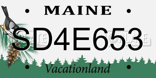 SD4E653 Maine License Plate