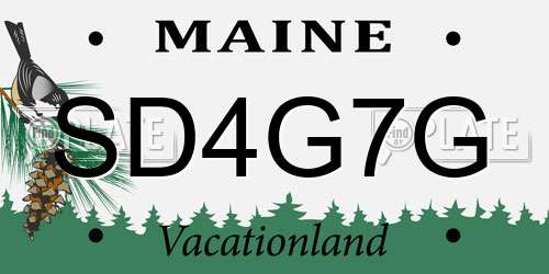 SD4G7G Maine License Plate