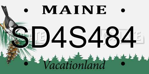 SD4S484 Maine License Plate