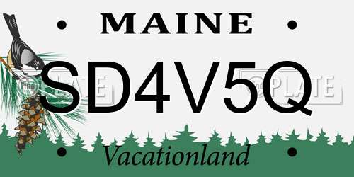 SD4V5Q Maine License Plate