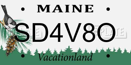 SD4V8O Maine License Plate