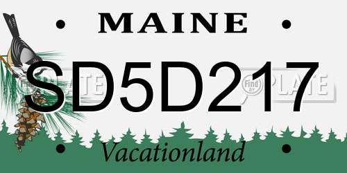 SD5D217 Maine License Plate