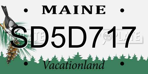 SD5D717 Maine License Plate