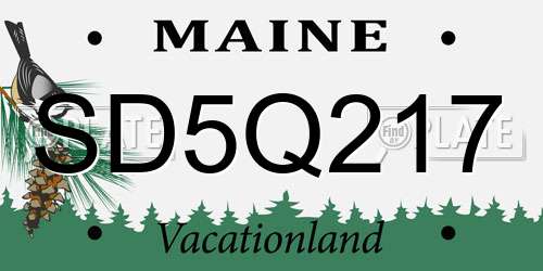 SD5Q217 Maine License Plate