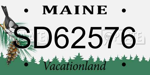 SD62576 Maine License Plate