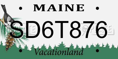 SD6T876 Maine License Plate