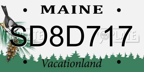 SD8D717 Maine License Plate