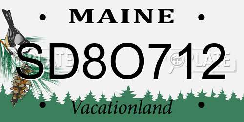 SD8O712 Maine License Plate