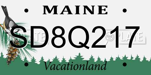 SD8Q217 Maine License Plate
