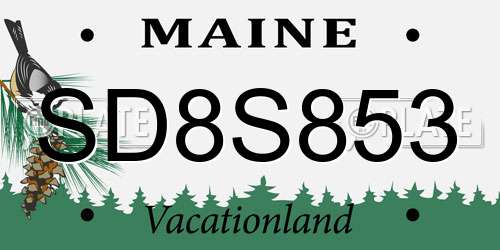 SD8S853 Maine License Plate