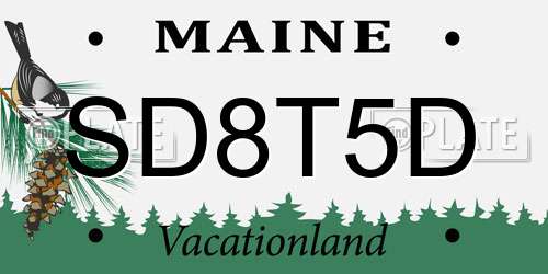 SD8T5D Maine License Plate
