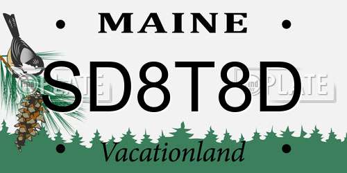 SD8T8D Maine License Plate