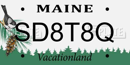 SD8T8Q Maine License Plate