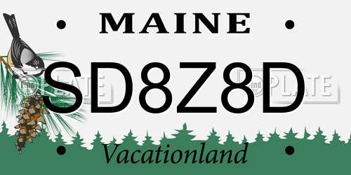 SD8Z8D Maine License Plate