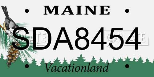 SDA8454 Maine License Plate