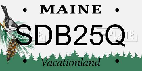 SDB25Q Maine License Plate