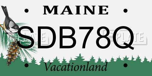 SDB78Q Maine License Plate