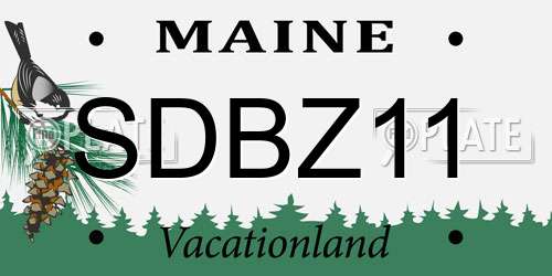 SDBZ11 Maine License Plate