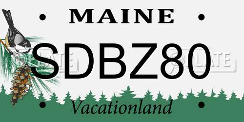 SDBZ80 Maine License Plate