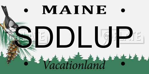 SDDLUP Maine License Plate