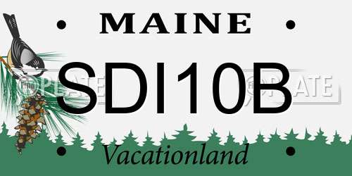 SDI10B Maine License Plate