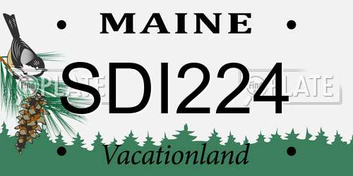 SDI224 Maine License Plate