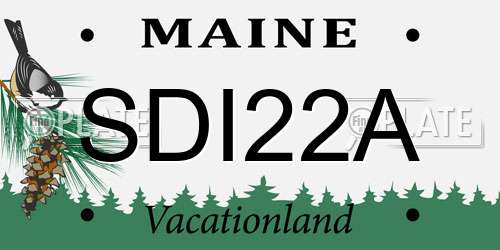 SDI22A Maine License Plate