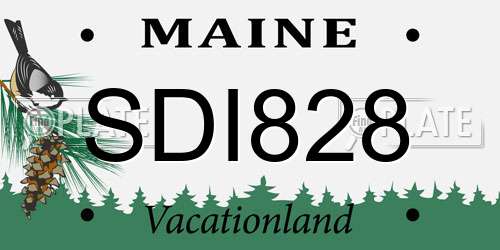 SDI828 Maine License Plate