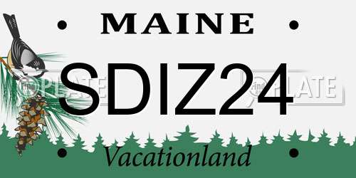 SDIZ24 Maine License Plate