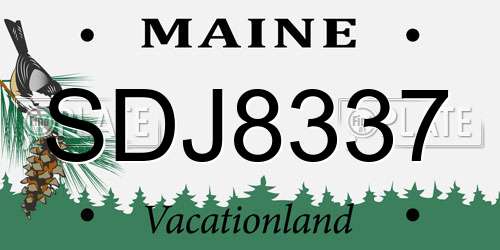SDJ8337 Maine License Plate