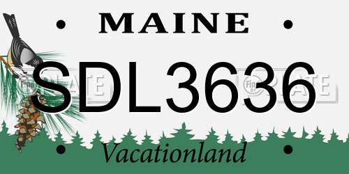 SDL3636 Maine License Plate