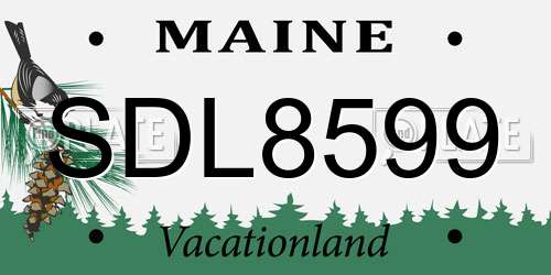 SDL8599 Maine License Plate