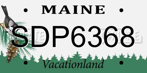 SDP6368 Maine License Plate