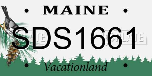 SDS1661 Maine License Plate