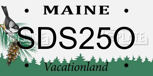 SDS25O Maine License Plate