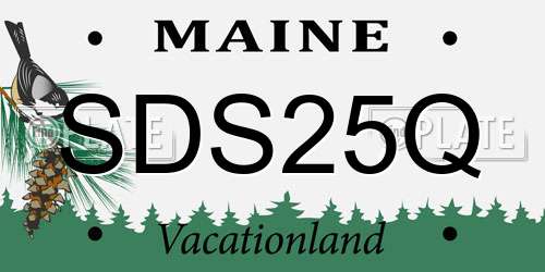 SDS25Q Maine License Plate