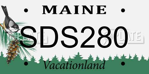 SDS280 Maine License Plate