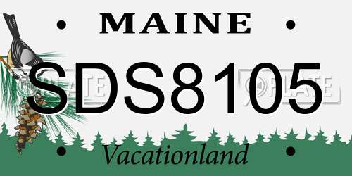 SDS8105 Maine License Plate