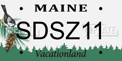 SDSZ11 Maine License Plate