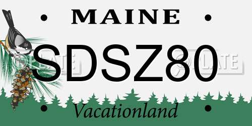 SDSZ80 Maine License Plate