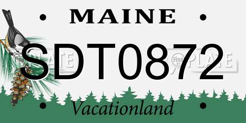 SDT0872 Maine License Plate