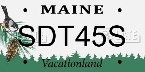 SDT45S Maine License Plate