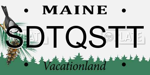 SDTQSTT Maine License Plate